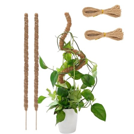 Mossastav Taivutettava 70-100cm, Kasvituki / tukikeppi – Köynnöskasvit, 1 / 2-pakkaus