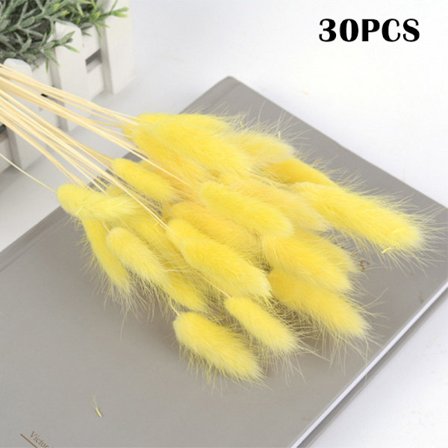 Färgglada torkade blommor evig bukett Riktiga blommor för heminredning Fotografi rekvisita 30 st/bunt