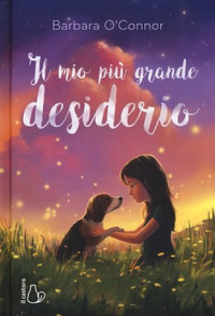 Il mio più grande desiderio Barbara O'Connor