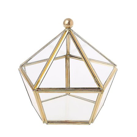 Pentagonformet terrarium med mose, bregne, plante og smykkeskrin