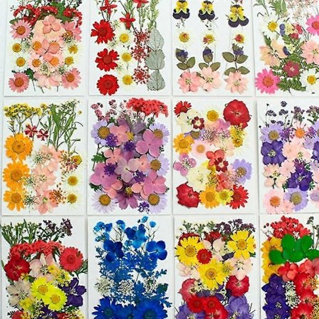 90 stk. Ægte Tørrede Pressede Blomster, Tørre Pressede Blomster Til Resin Naturlige Pressede Blomsterblade Farverige Tørrede Pressede Blomster Til DIY