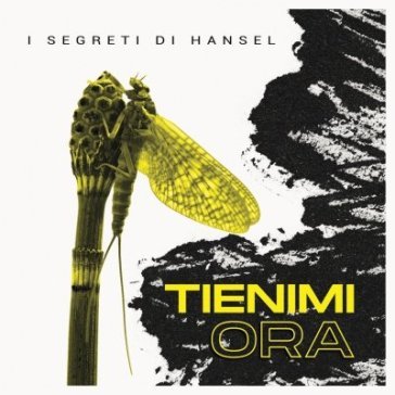 Tienimi ora I SEGRETI DI HANSEL