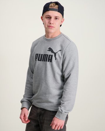 Puma ESS No. 1 Logo Crew TR B Grau Pullover Jungen - Kids Brand Store