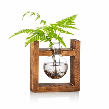 Stykke Pære Avocado Vase Glas Agern Vase til Blomster Terrarium Krukke Plantekasse med Træhyldeholder til Grønne Vandplanter Fit