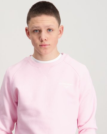 Björn Borg BORG ESSENTIAL 1 SWEATSHIRT Rosa Genser Gutt - Kids Brand Store