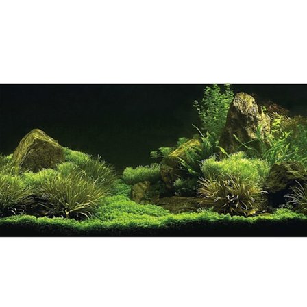 (61 x 30 cm) 3D-effekt sjøbunn vann gress plakat selvklebende reptil terrarium akvarium bakteppe
