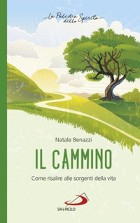 Il cammino. Come risalire alle sorgenti della vita Natale Benazzi