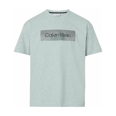 Calvin Klein T-Shirts Grå, Herre