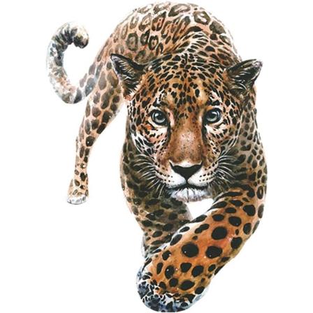 Tiger Head Heat Transfer Iron on Patch Sticker för kappa Jacka Tröja Jeans Ryggsäck Kläder gör-det-själv-dekoration