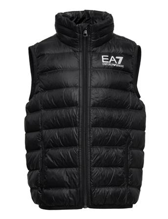 Downvest Fodrad Väst Svart EA7
