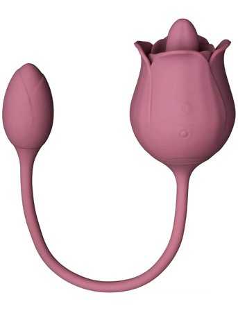 Amaysin Amaysin Licking Rose And Egg Vibrator - Pink - ONE SIZE