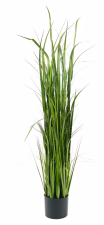 Mr Plant Kunstig Plante Gress H150cm