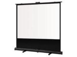 GRANDVIEW X-PRESS Portable WM screen