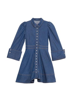 Denim Mini Dress French Blue XL