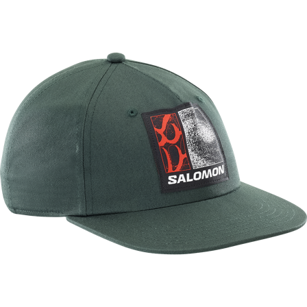 Salomon - Bonnets et casquettes Bonnets et casquettes Freestyle Flat Cap - Green Gables
