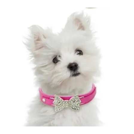 Halsband med strass och rosett i metall guld och veganskt läder