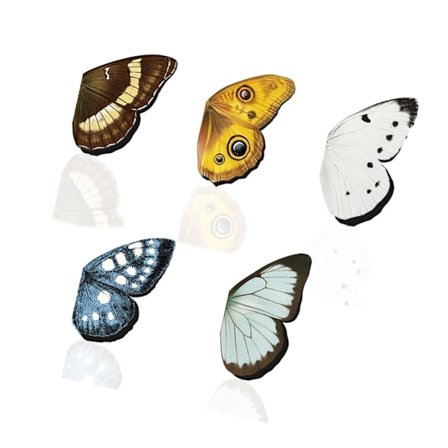 5 stk. Fargerike sommerfuglmagnetiske bokmerker sidemarkørklipp for bøker og tidsskrifter