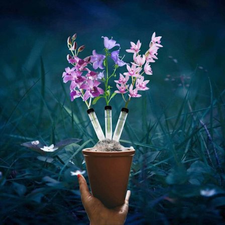 Blomrör 100-pack Plastblomrör, Transparenta Blomrör, Återanvändbara Blommor, Blomrör