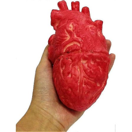 Halloween-koriste Ihmisen elimen rekvisiitta Väärennetty verinen sydän | Halloween-koriste Kummitustalon rekvisiitta Koristelu