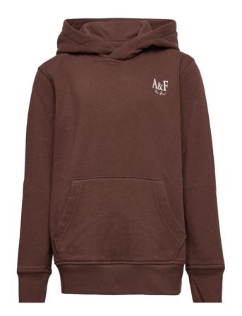 Kids Boys Sweatshirts Huppari Ruskea Abercrombie & Fitch