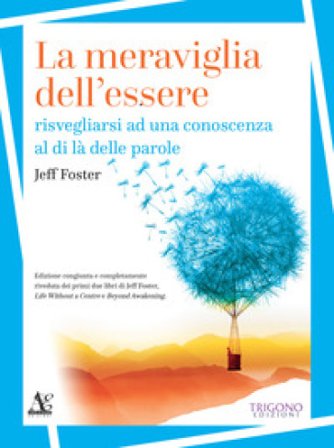 La meraviglia dell'essere. Risvegliarsi ad una conoscenza al di là delle parole Jeff Foster