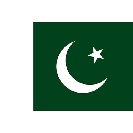 Pakistans flag