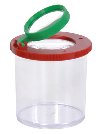 Moulin Roty | Insect Box | ONE SIZE