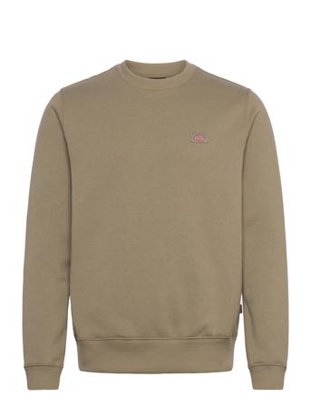 Dickies Oakport Sweatshirt Khaki Green