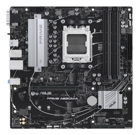 ASUS PRIME A620M-A-CSM - hovedkort - mikro ATX - Socket AM5 - AMD A620