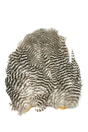 Whiting Rooster SH/C Grizzly