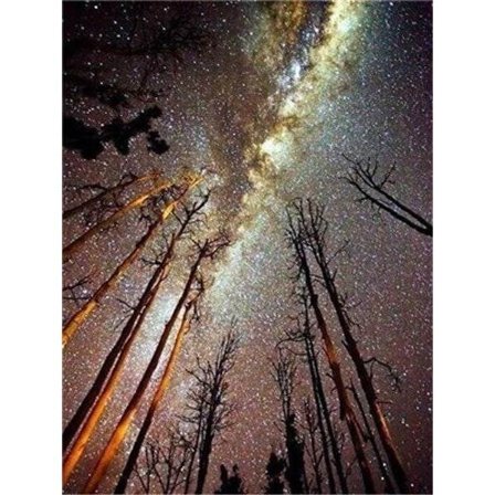 IC 30 x 40 cm, Timanttimaalaus Broderi Timanttimaalaus Canvas 5d Maalaus Lapset Aikuinen Rhinestone Paljon Puzzle Piirustus Seinäkoriste Makuuhuone 