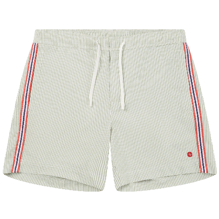 Amundsen Soak Swim Trunk Mens Lichen Green