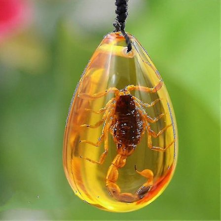 Halsband med hänge i baltisk bärnsten, dekorativ sten, hjärtformat [HK]