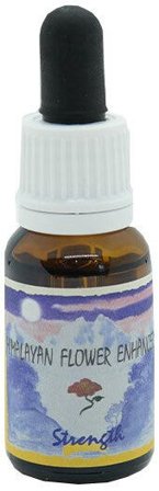 STRENGTH ESSENZA 15ML