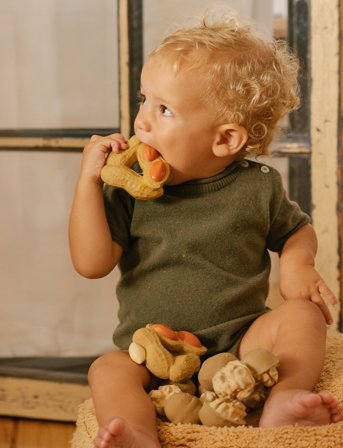 OLI & CAROL Paco The Peanut - Brown - 8.1X 7.8X 3.8CM