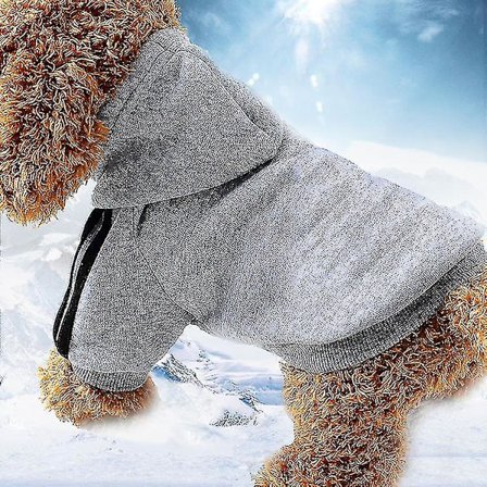 Hundeklær Hettegenser Sport Høst Og Vinter - Størrelse, Farge XS Grå