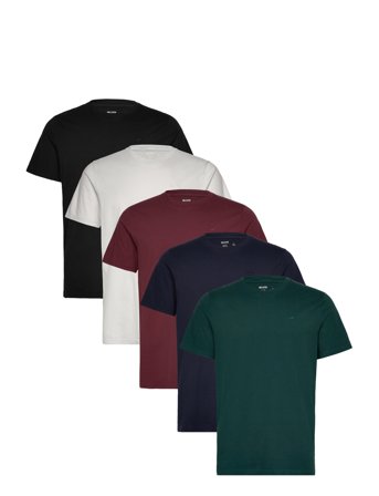 Hollister | Icon T Shirt 5 Pack | XS