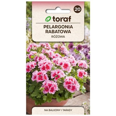 Zonalgeranium frø pink - Langtidsblomstrende og farverig til krukker og bede