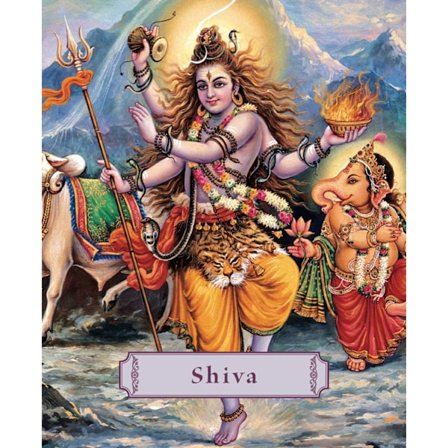 Shiva: Lord Of The Dance (Pocket-Sized) (H) 9781886069954