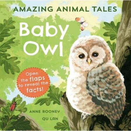 Amazing Animal Tales: Baby Owl (häftad, eng)