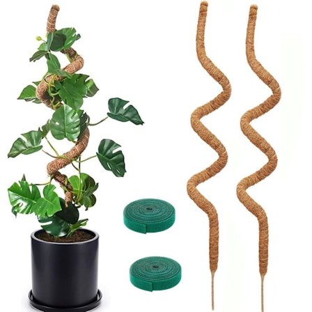 Lollanda Kasvituki / tukikeppi, Taivutettava Sammalkeppi 70-100cm – Kiipeilytuki 1/2-pakkaus, sisäkasveille, muratille ja monsteralle