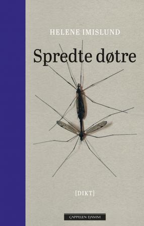 Spredte døtre - Bok av Helene Imislund - Hardback