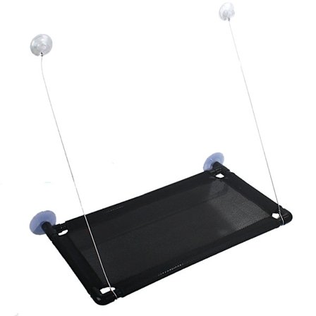 Riippumatto kissalle ikkunaan