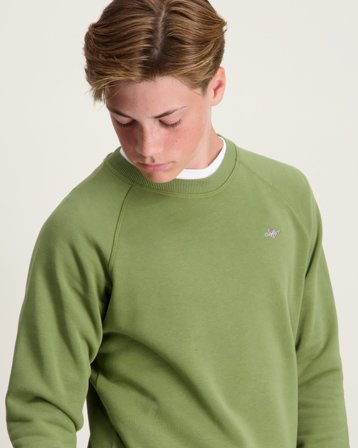 GANT SHIELD C-NECK Grün Pullover Jungen - Kids Brand Store