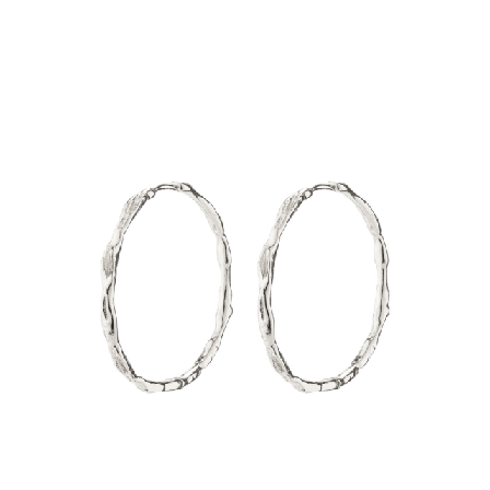 Pilgrim Eddy Earrings Smycken & klockor Dam Silver ONESIZE