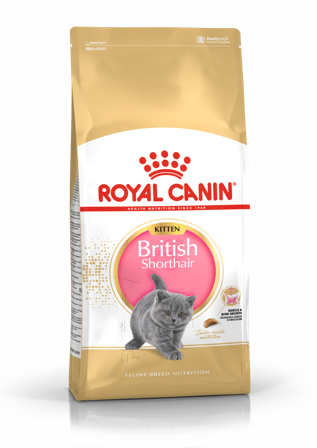 Royal Canin - Kattekattunge Britisk korthår 2 kg - Katt - Kattefôr & kattemat - Tørrfôr for katt - ZOO.no