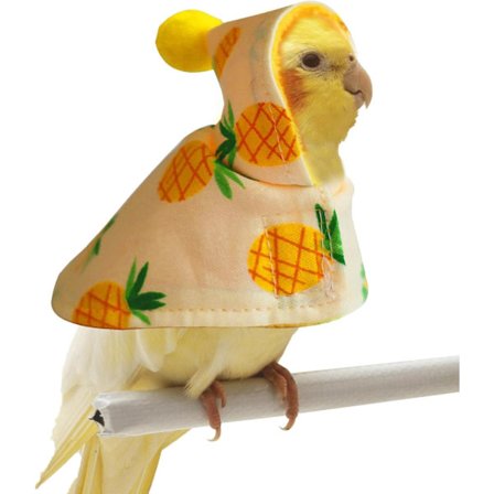 Vintertøj til fugle, varme vinterfugledragter