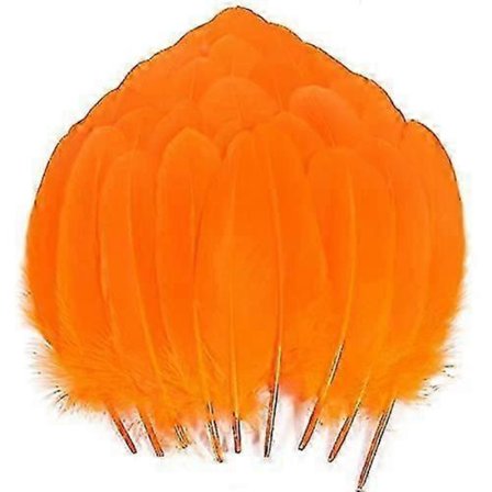 200 stk. Gåse Nagoire Fjer