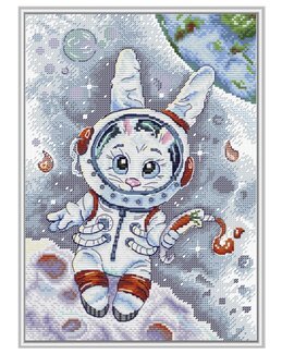 Stickpackung Bild Weltraumkaninchen