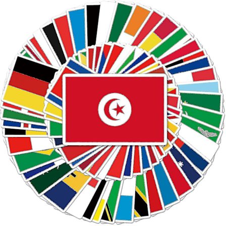 Verdensflag Stickers Pakke med 100-lande Flag i Kortmønster Stickers - Vinyl Skateboard Stickers - Velegnet til Laptop Rejsetaske Notesbog Telefon Bil